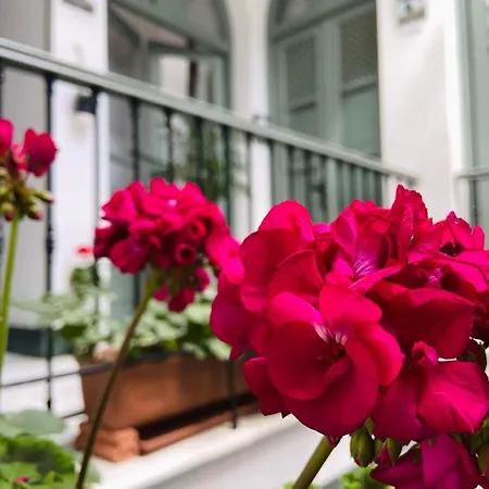 La Gitanilla Con Encanto Bed and breakfast Jerez de la Frontera